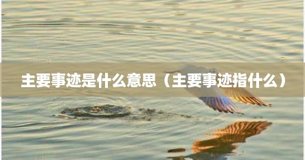主要事迹是什么意思（主要事迹指什么）