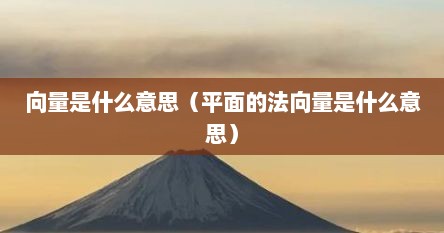 向量是什么意思（平面的法向量是什么意思）