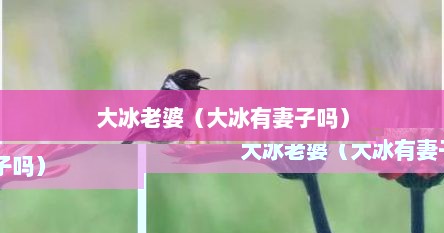 大冰老婆(大冰有妻子吗)