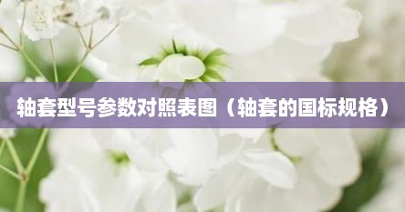 轴套型号参数对照表图（轴套的国标规格）