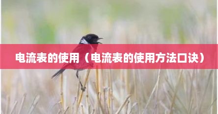 电流表的使用（电流表的使用方法口诀）
