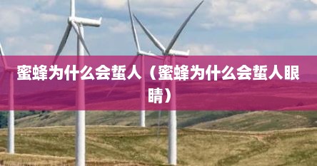 蜜蜂为什么会蜇人（蜜蜂为什么会蜇人眼睛）