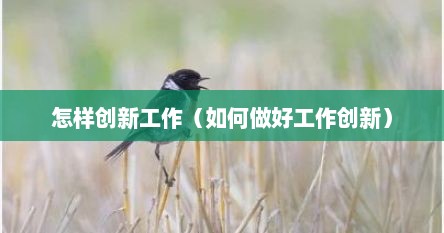 怎样创新工作（如何做好工作创新）