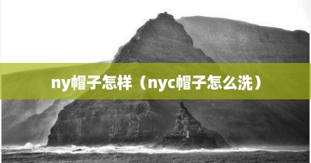 ny帽子怎样（nyc帽子怎么洗）