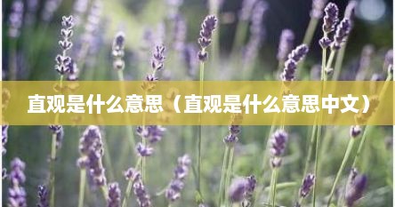 直观是什么意思（直观是什么意思中文）