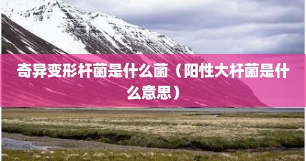 奇异变形杆菌和粪肠球菌（奇异变形杆菌是细菌还是真菌）
