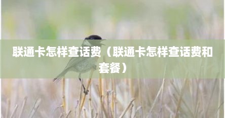 联通卡怎样查话费（联通卡怎样查话费和套餐）