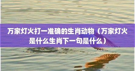 万家灯火打一准确的生肖动物（万家灯火是什么生肖下一句是什么）