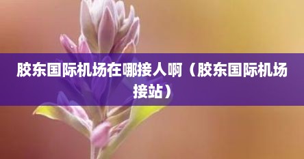 胶东国际机场在哪接人啊（胶东国际机场接站）