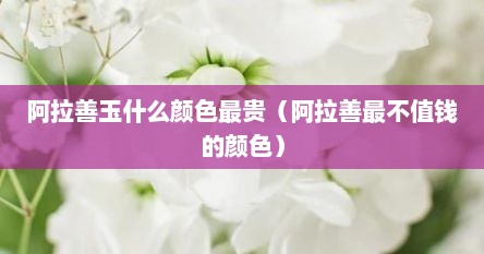 阿拉善玉什么颜色最贵（阿拉善最不值钱的颜色）