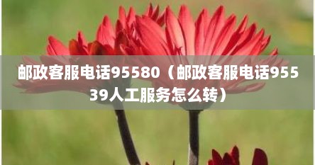 邮政客服电话95580（邮政客服电话95539人工服务怎么转）