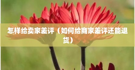 怎样给卖家差评（如何给商家差评还能退货）