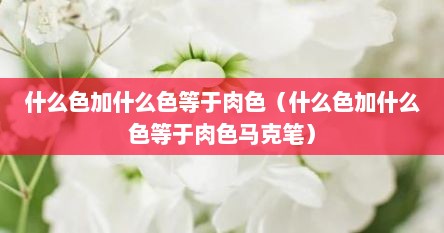 什么色加什么色等于肉色（什么色加什么色等于肉色马克笔）