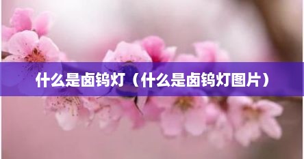 什么是卤钨灯（什么是卤钨灯图片）