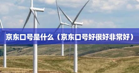 京东口号是什么（京东口号好很好非常好）