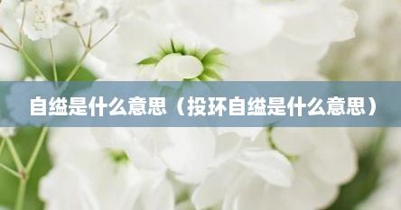 自缢是什么意思（投环自缢是什么意思）