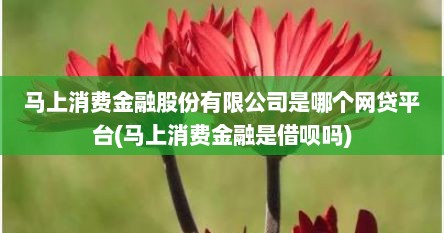 马上消费金融股份有限公司是哪个网贷平台(马上消费金融是借呗吗)