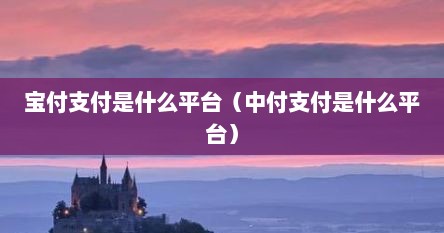 宝付支付是什么平台（中付支付是什么平台）