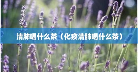 清肺喝什么茶（化痰清肺喝什么茶）