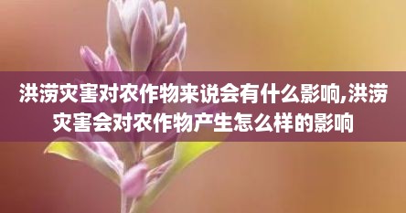 洪涝灾害对农作物来说会有什么影响,洪涝灾害会对农作物产生怎么样的影响