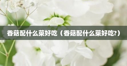 香菇配什么菜好吃（香菇配什么菜好吃?）