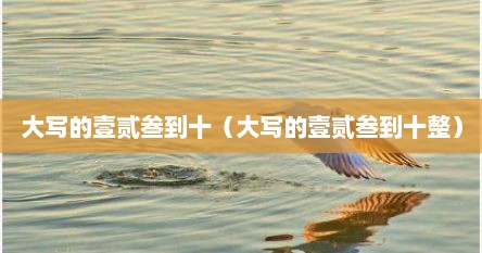 大写的壹贰叁到十（大写的壹贰叁到十整）