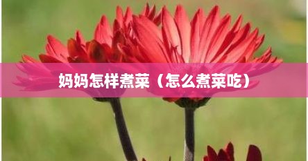 妈妈怎样煮菜（怎么煮菜吃）