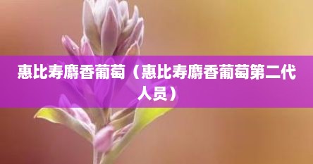 惠比寿麝香葡萄（惠比寿麝香葡萄第二代人员）