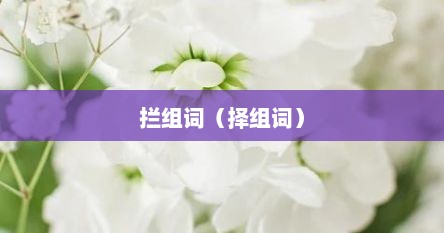 拦组词（择组词）
