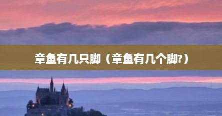 章鱼有几只脚（章鱼有几个脚?）