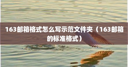 163邮箱格式怎么写示范文件夹（163邮箱的标准格式）