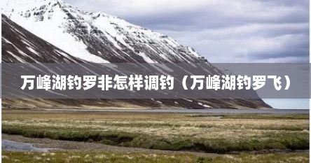 万峰湖钓罗非怎样调钓（万峰湖钓罗飞）