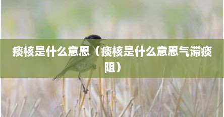 痰核是什么意思（痰核是什么意思气滞痰阻）