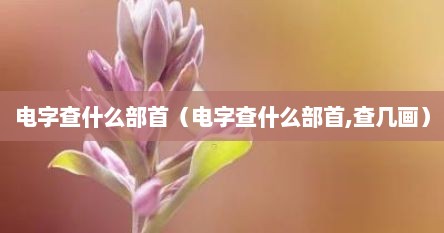 电字查什么部首（电字查什么部首,查几画）