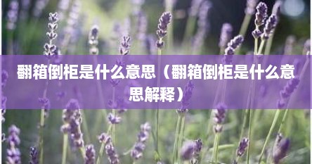 翻箱倒柜是什么意思（翻箱倒柜是什么意思解释）