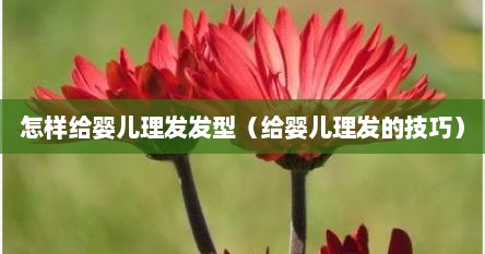 怎样给婴儿理发发型（给婴儿理发的技巧）