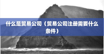 什么是贸易公司（贸易公司注册需要什么条件）