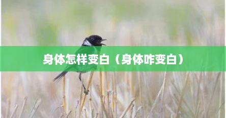 身体怎样变白（身体咋变白）