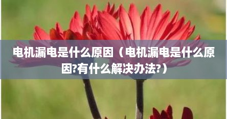 电机漏电是什么原因（电机漏电是什么原因?有什么解决办法?）