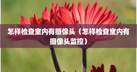 怎样检查室内有摄像头（怎样检查室内有摄像头监控）