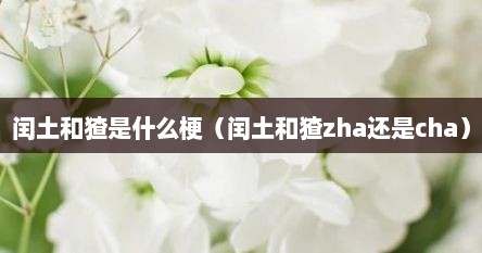 闰土和猹是什么梗（闰土和猹zha还是cha）