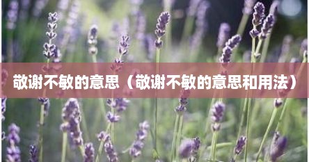 敬谢不敏的意思（敬谢不敏的意思和用法）