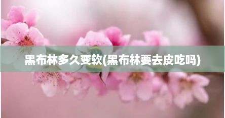 黑布林多久变软(黑布林要去皮吃吗)