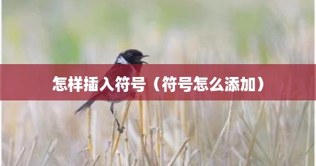 怎样插入符号（符号怎么添加）