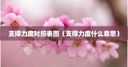 支撑力度对照表图（支撑力度什么意思）