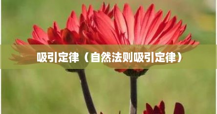 吸引定律（自然法则吸引定律）