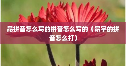 昂拼音怎么写的拼音怎么写的(昂字的拼音怎么打)
