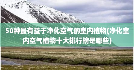 50种最有益于净化空气的室内植物(净化室内空气植物十大排行榜是哪些)