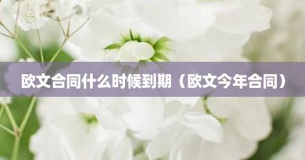 欧文合同什么时候到期（欧文今年合同）