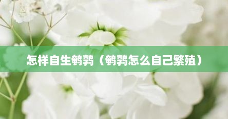 怎样自生鹌鹑（鹌鹑怎么自己繁殖）